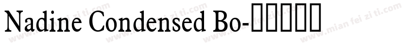 Nadine Condensed Bo字体转换